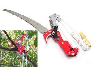 Bộ Kéo Cưa Cắt Cành Trên Cao - Công Nghệ Nhật Bản