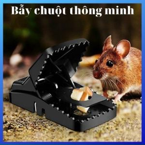 [HÀNG CÓ SẴN] BẪY CHUỘT ĐEN THÔNG MINH