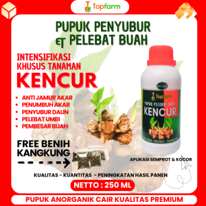Pupuk Kencur / Pupuk Kencur Cair / Pupuk Tanaman Kencur / Pupuk Pelebat Buah Kencur / Pupuk Buat Tanaman Kencur / Obat Hama Kencur / Obat Tanaman Kencur