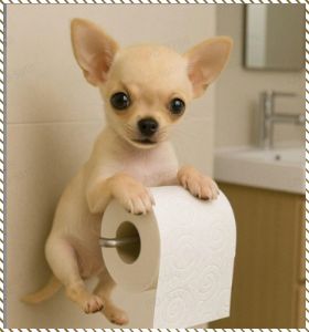 ที่วางกระดาษทิชชู่สุนัข สุนัข น่ารัก ห้องน้ำ ฟังก์ชั่นการตกแต่ง ทําความสะอาดง่าย ผู้ใช้ที่บ้าน
