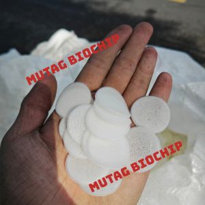 Giá thể Mutag Biochip - Giá thể vi sinh cho hồ cá