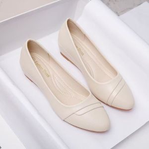 Free Shipping Soft-Soled WomenS Flats Comfortable For Long Hours Of Standing Work Shoes 2026 Autumn New Style Soft-Soled Comfortable Shallow-Toe Versatile Loafers