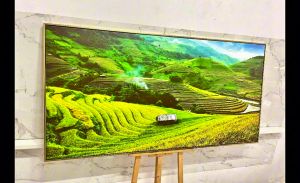 Tranh Ruộng Bậc Thang Tranh Phong Cảnh Thiên Nhiên Tranh Tráng Gương Tranh Canvas Tranh Decor