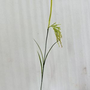 LÚA GIẢ. CÂY LÚA GIẢ 2 MÀU XANH VÀNG ( CAO 70CM)