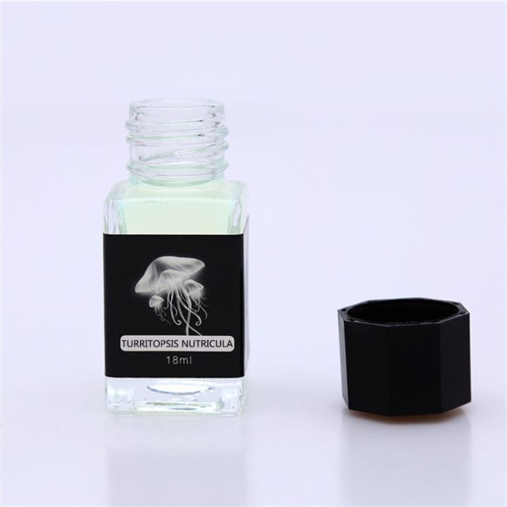 Invisible Ink 18ml Magic Ink Visible only at UV Light for Secret ...
