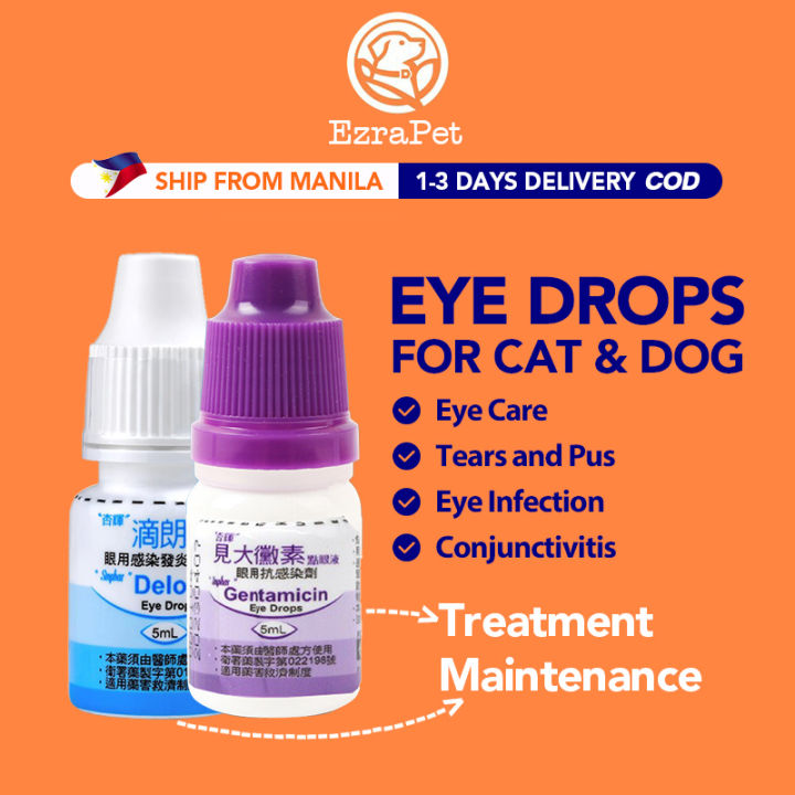 Eye Care Cat Eye Discharge Medicine Infection Treatment Cat