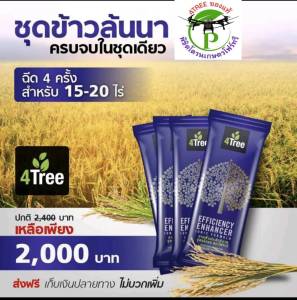 4Treeของแท้ โฟร์ทรี 4 ซอง ใช้ได้ 70-80 ไร่ สารเสริมประสิทธิภาพพืชสูตรอิออน ช่วยเร่งราก พืชโตเร็ว ทำให้พืชเขียวนาน ใช้ได้กับพืชทุกชนิด นวัตกรรมใหม่จากประเทศอิสราเอล ของแท้100%