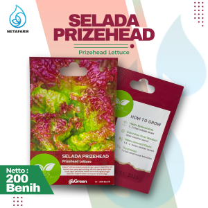 Benih Biji Bibit Selada Prizehead Lettuce Mix Garden Seed - 1 Pcs
