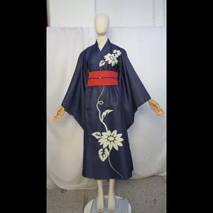 Huyệt Nại Cơ xuyên không gian và thời gian (sản phẩm xuất khẩu) cos Phục Huyệt Cơ lá màu cosplay Trang phục biểu diễn sân khấu