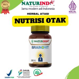 BRAINOVIT Vitamin Otak Anak Kecerdasan Daya Ingat Omega 3 6 9 Naturindo