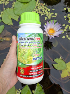 [THIEN THINH SHOP] Phân bón lá chống đổ ngã lúa nếp CỨNG NHƯ TRE chai 500ml