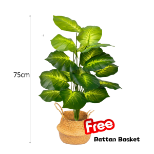 【SG Evergreen】Small Artificial Plant Fake Potted Plants for Home Decor Indoor Plant Monstera Plant Fake Palm Fiddle Fig