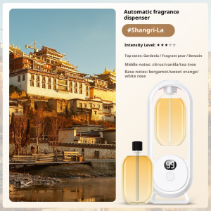 Wireless Aroma Diffuser | Auto Spray & LED Light | Rechargeable Wall Mount & Desktop