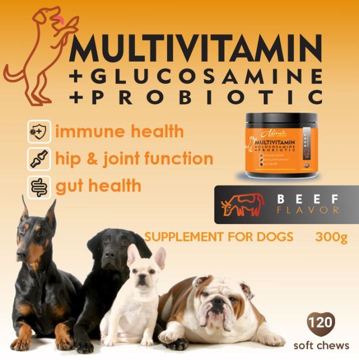Friendly Dog Probiotics For Joints photo