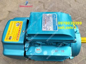 Motor điện TAFACO điện cơ toàn phát 100% lõi đồng công suất 2hp tua chậm