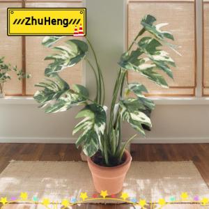 zhuheng 1 12 Dollhouse mô phỏng monstera cây xanh trong chậu Dollhouse trang trí nhà vi cảnh quan vườn mô hình cây cảnh