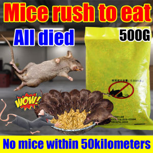 【100% ALL DIED 】rat poison killer 500G racun tikus paling kuat Berkesan Mice rush to eat rat bait Specialized in killing smart big mice Rodenticide Calcification dries out ubat tikus paling kuat mati rat repellent rat killer mouse killer 老鼠药三步倒