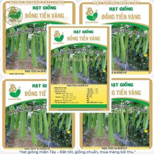 Melo 58 Hạt giống mướp hương siêu trái Đồng Tiền Vàng ( 100 hạt)