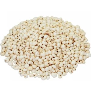 生薏米 熟薏米 Thailand raw Barley Cooked Barley  泰国生薏仁 熟薏仁 草薏米 炒薏仁