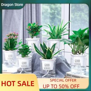 Dragon Transparent Flower Pot Self-Watering Plant Flower Pot Home Garden Decoration