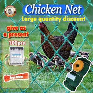 【Shipped today】20M/50M/100M Chicken Net Range Net for Chicken Lambat Outdoor Poultry Net Ranging Net