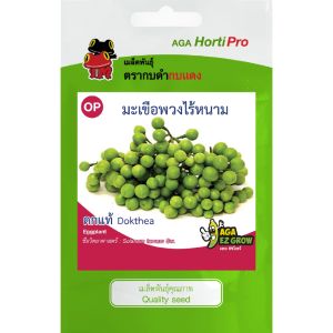 เมล็ดพันธุ์ มะเขือพวงไร้หนามดกแท้ (ซองรีเทล)