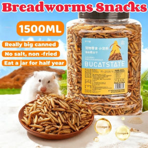 YOUYITIAOYU 1500ML Hamster Treats Dried Mealworm Protein-Rich Snacks for Guinea Pig Gerbils Chinchillas Birds