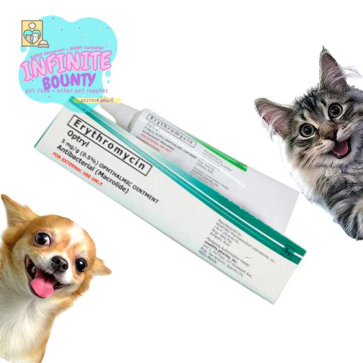 Erythromycin ophthalmic store ointment for dogs