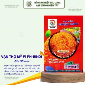 Gói 50 Hạt Vạn Thọ Mỹ F1 PHBINDI – Cam Đỏ Cao 40–45cm