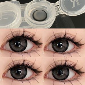 Fashion glasses Half-year natural brown large diameter 赠镜盒+2片】 爆款半年抛棒棒糖学生眼镜 眼镜大直径网红同款