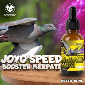 VITAMIN DOPPING PLAYER | KOLONG BALAP MERPATI | VITAMIN BOOSTER MERPATI | JOYO SPEED BOOSTER