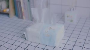 MINISO ผ้าขนหนูหน้าพรีเมียม Miniso ผ้าขนหนูแห้งและเปียก ผ้าขนหนูผ้าฝ้ายนุ่มสำหรับเด็ก แผ่นสำลีแบบใช้แล้วทิ้งที่สามารถดึงออกได้