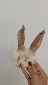 Home-หน้ากระต่ายอบแห้ง หน้ากระต่ายพร้อมหู ขนมสูง ขนมแมว ขนมขัดฟัน ขนมแทะ