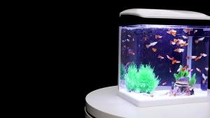 Mini Aquarium Fish Tank T-240F T-290F T-820F Set Pump Filter LED Light CYA Mini Bare Ultra White Glass Tank