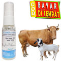 Obat Mata Sapi Kambing Iritasi Merah Bengkak Tylovet C. 