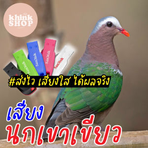 เสียงต่อนกเขาเขียว เมมเสียงนกเขาเขียว แฟลชไดร์ฟเสียงต่อนกเขาเขียว เสียงนกเขาเขียว