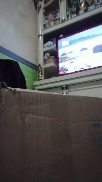 Buyer review video 3