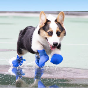 รองรับ CODรองเท้าบู้ท กันฝน สำหรับสัตว์เลี้ยง สุนัข 4 ชิ้น