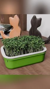 Suomi Seed Germination Tray Double Layer Plant Peanut Bean Sprout Soilless Hydroponic Seedling Tray 1Set