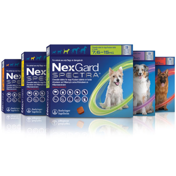 Nexgard and Nexgard Spectra Chewable Tablet Anti Ticks and Fleas Protection for All Dogs and
