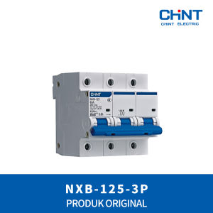 CHINT Din-Rail MCCB NXB-125 / 3P (80A 100A 125A)