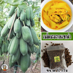 เมล็ดมะละกอแขกดำ 10 กรัม