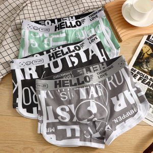 ANDERSON TALISCA New Letter 3pcs Underwear Men Boxer Cotton Man Penis Breathable Mens Boxers Cuecas Masculinas Size M-3XL PA3278