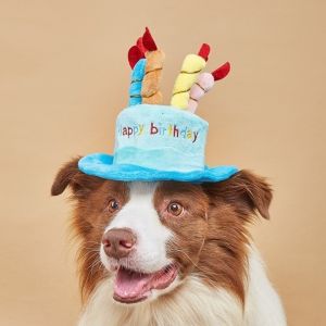 ZENO Birthday Theme Dog Plush Hat Cake Shape Blue Pink Birthday Cake Hat Cute Puppy Kitten Hat Party Decor