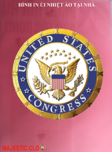 Sticker Logo American Eagle-Hình In Áo Tại Nhà Rất Đẹp-[IN LOGO THEO YÊU CẦU INBOX SHOP-INBOX] công nghệ in pet chuyển nhiệt- ủi trực tiếp lên vải áo rất đẹp bằng bàn ủibàn làmáy ép nhiệt -không bong chóc khi giặt-OCEAN COLOR.CLO