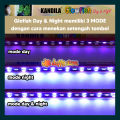 Kandila Lampu Glofish GLO 300 lampu view ikan glo fish glowfish. 