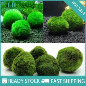 LF Wholesale✨Flash Sale ✨ 3-4cm marimo rêu quả Bóng Sống Aquarium thực vật tảo cá tôm bể trang trí mô phỏng màu xanh lá cây tảo quả bóng cây nhân tạo