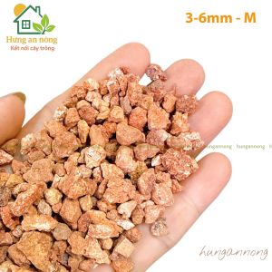 Đất sét nung SUNDALAND Burnt Soil giá thể bonsai sen đá xương rồng hồ thủy sinh