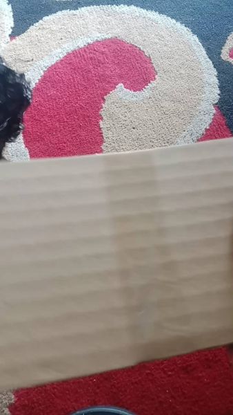Buyer review video 2