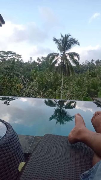 Buyer review video 2
